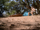 Le Bush Camp au waterberg